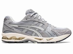 Zapatillas Asics GEL-KAYANO 14 Hombre Gris | RTUS-57849