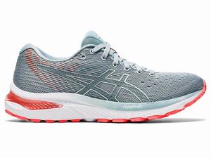 Zapatillas Running Asics GEL-CUMULUS 22 Mujer Gris Claro | HNMZ-82057