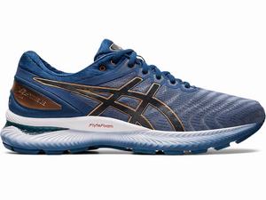 Zapatillas Running Asics GEL-NIMBUS 22 (2E) Hombre Gris | FXMZ-31569