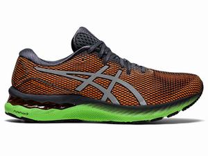 Zapatillas Running Asics GEL-NIMBUS 23 LITE-SHOW Hombre Gris Plateadas | CGEP-59087