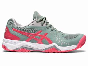 Zapatos de Tenis Asics GEL-CHALLENGER 12 Mujer Rosas Gris | OMFB-91735